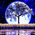 Home Tutor Puja Pasayat 769043 T585b34a796aa9b